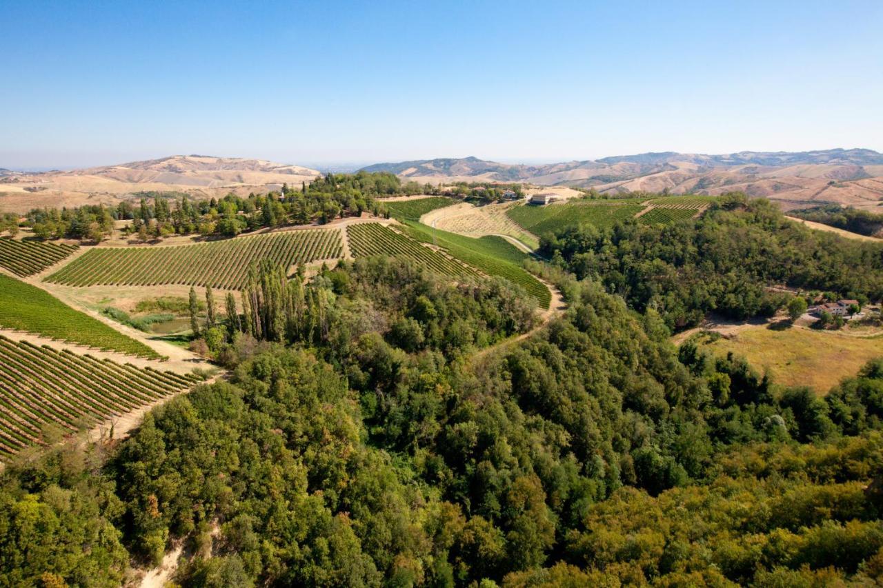 Podere Riosto Cantina&Agriturismo Pianoro Exterior photo