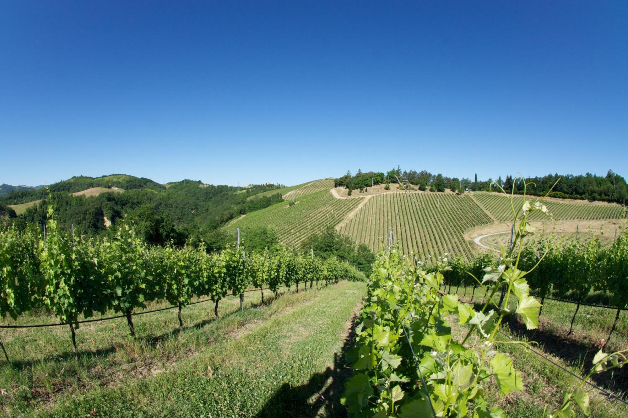 Podere Riosto Cantina&Agriturismo Pianoro Exterior photo
